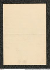 Nachlass Franz Steindachner, Brief von A. Brauer an Franz Steindachner (11.02.1904), Inv.Nr. 53.01, Seite 4